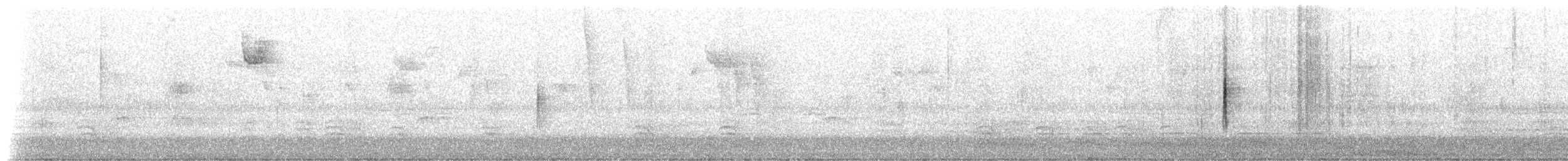 キヅタアメリカムシクイ（coronata） - ML185124121