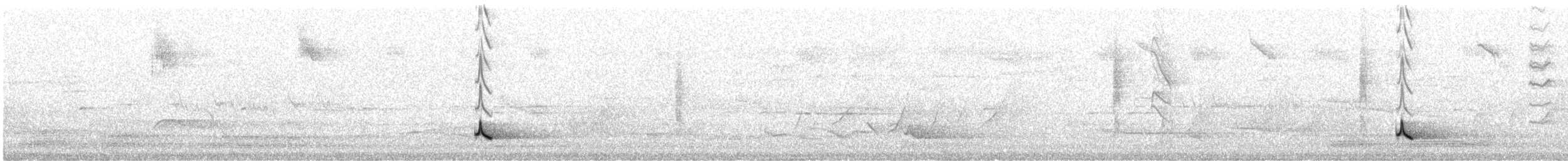 Серогрудый питуи - ML185125681