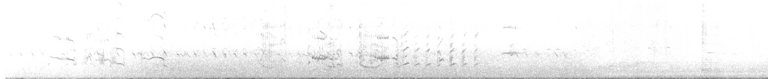 Royal Tern - ML185136491
