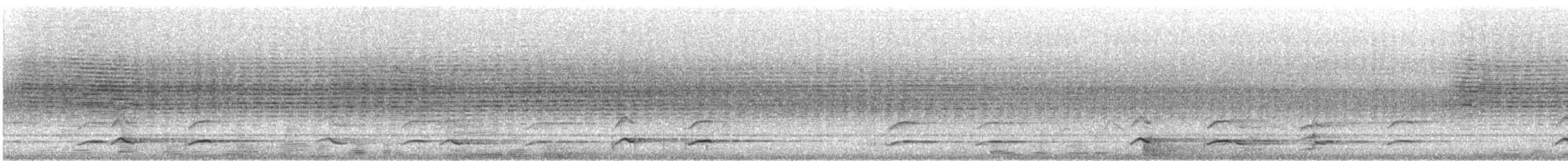 シロムネオオハシ（tucanus） - ML185185321