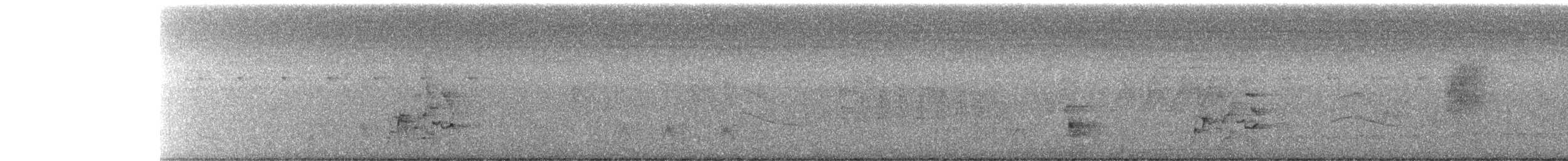 Black-naped Oriole - ML185188171