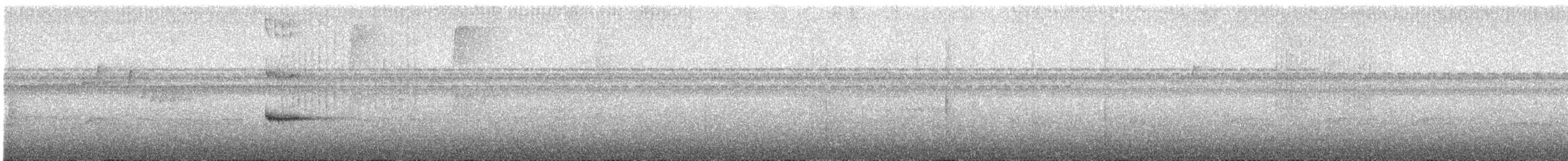 gullskjeggmanakin - ML185228511
