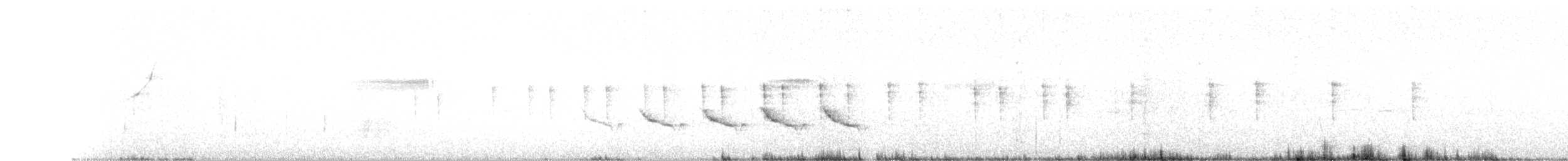 リオデジャネイロヒメモズモドキ（thoracicus） - ML185309441