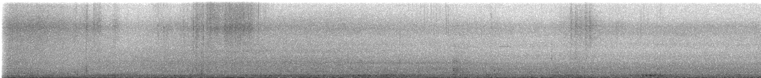 Rock Pigeon (Feral Pigeon) - ML185363451