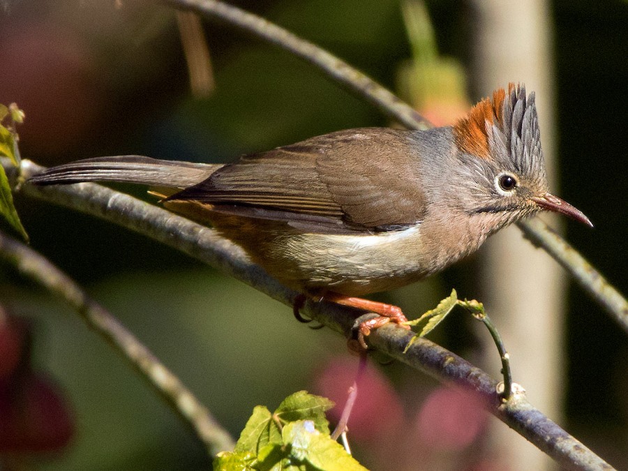 Video: Qizi otasini minut bilan uygotmoqda