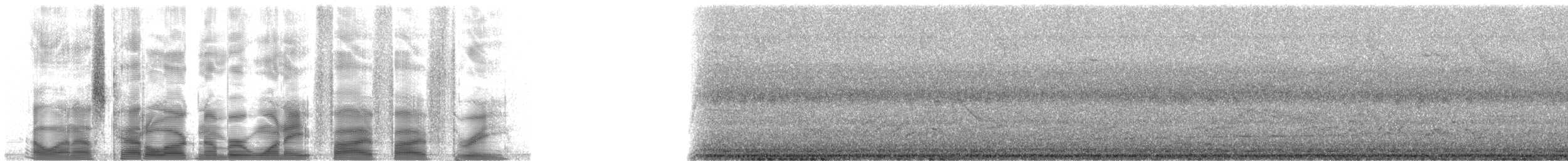 nakenkinnedderkoppjeger - ML18553