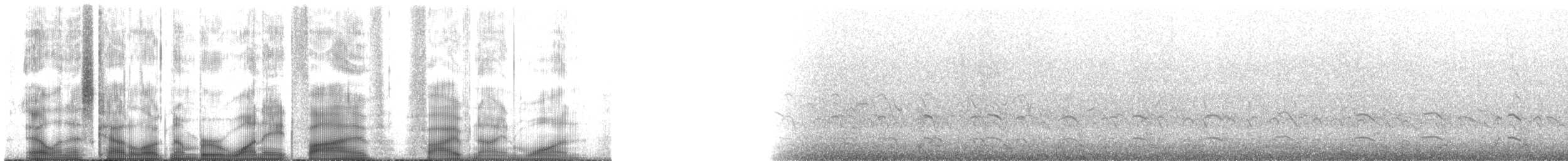 Brandt's Cormorant - ML185591