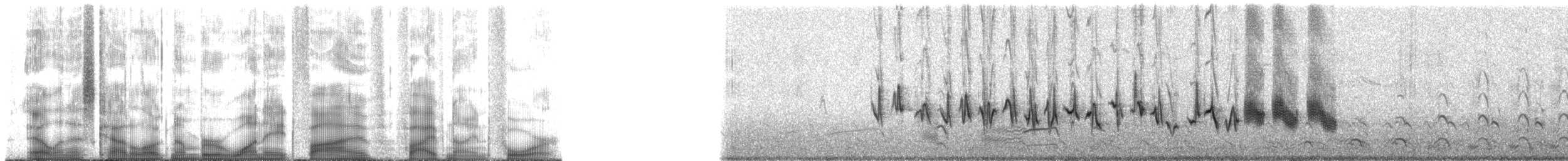 hýl rudoprsý - ML185594