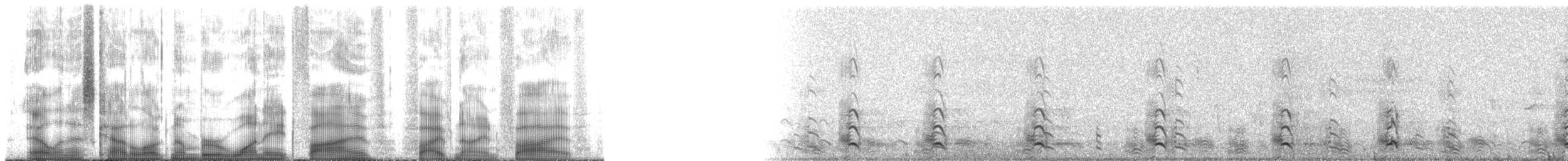 strnadec luční - ML185595