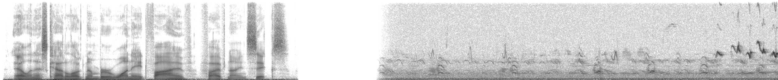 hýl rudoprsý - ML185596