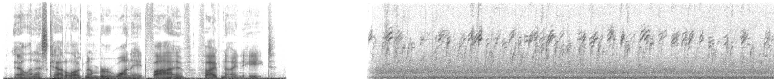 White-crowned Sparrow - ML185598