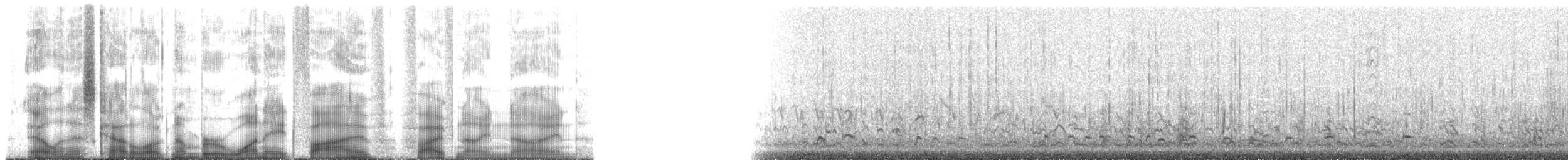 Long-billed Curlew - ML185599