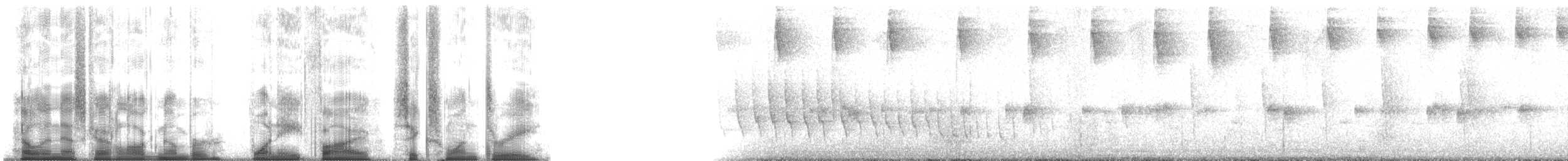 busktanagarspurv (flavopectus gr.) - ML185613