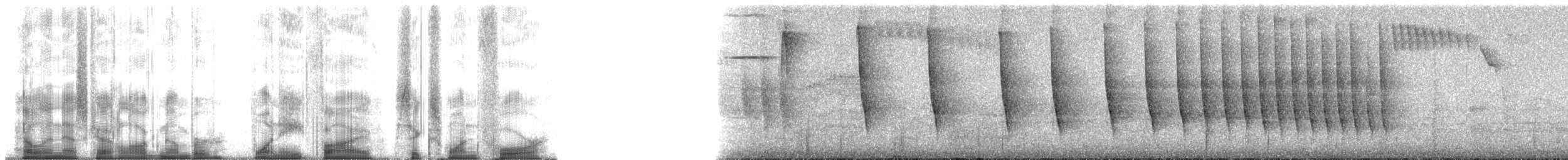 Chlorospin des buissons (groupe flavopectus) - ML185614