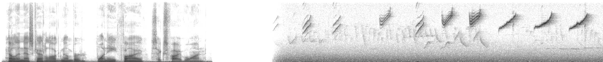 Tangara à calotte noire (atropileus) - ML185651