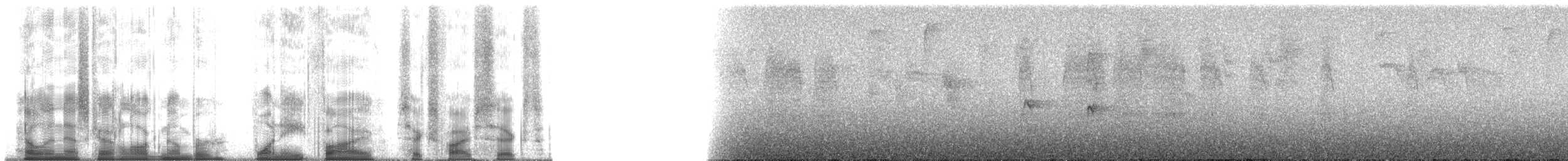 Светлоглазая курэта - ML185656