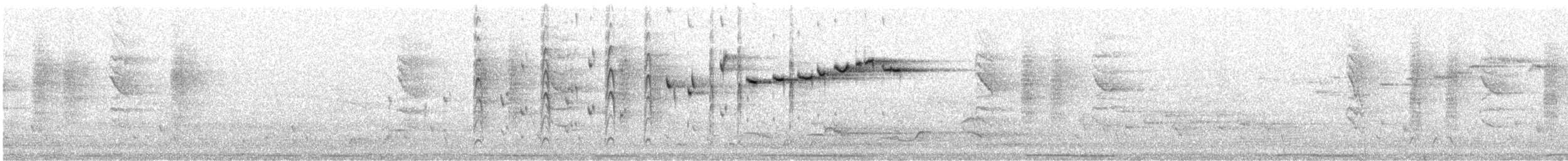 Graufächerschwanz (albiscapa) - ML185661771