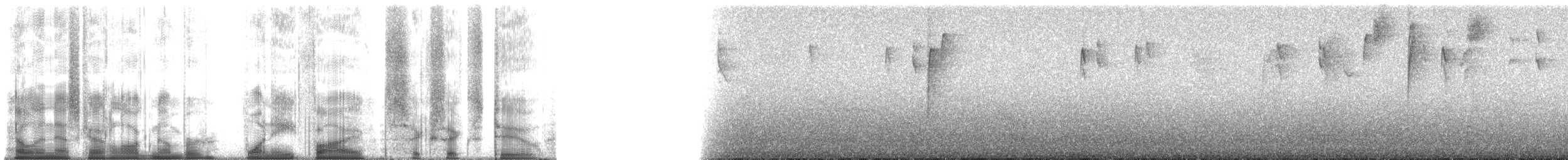 Tangara auréolé - ML185662