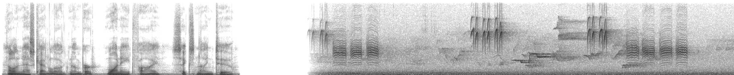sýkora černohlavá - ML185692