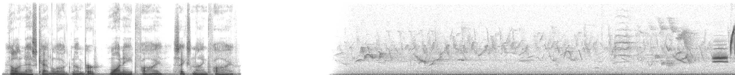 strnadec zpěvný - ML185695