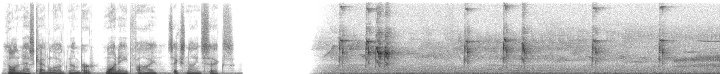 strakapoud americký [skupina villosus] - ML185696