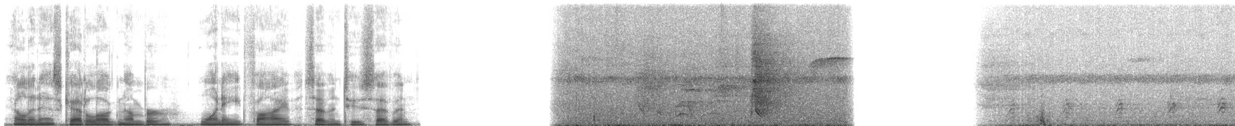 Toucanet émeraude (groupe prasinus) - ML185727