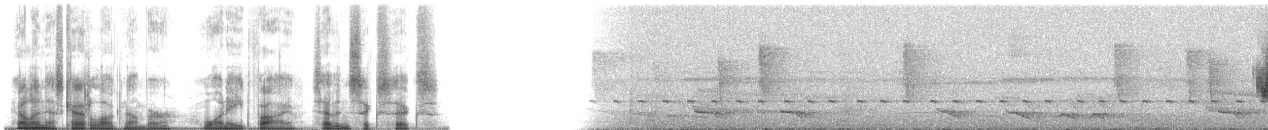 シロボウシマイコドリ（anthracina） - ML185766