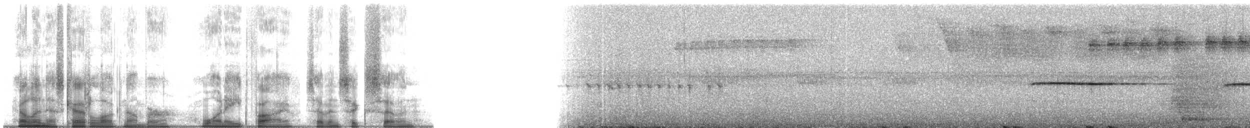 Troglodyte siffleur (luscinia) - ML185767