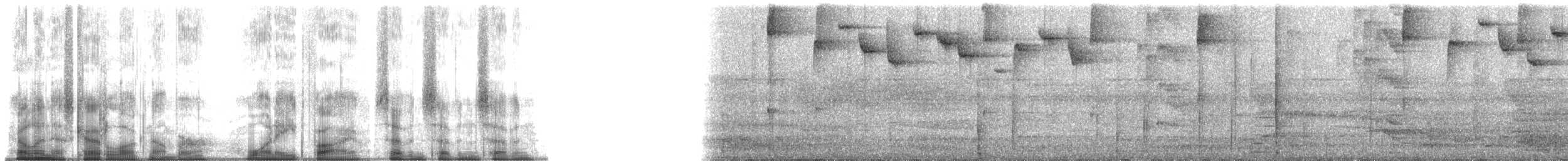 Gözlüklü Yerçavuşu (lizanoi) - ML185777
