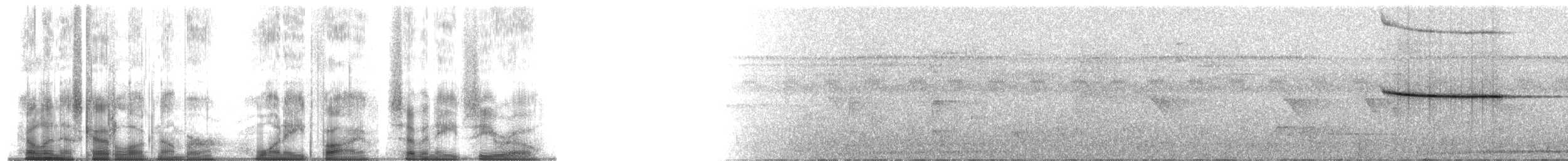 Troglodyte siffleur (luscinia) - ML185780