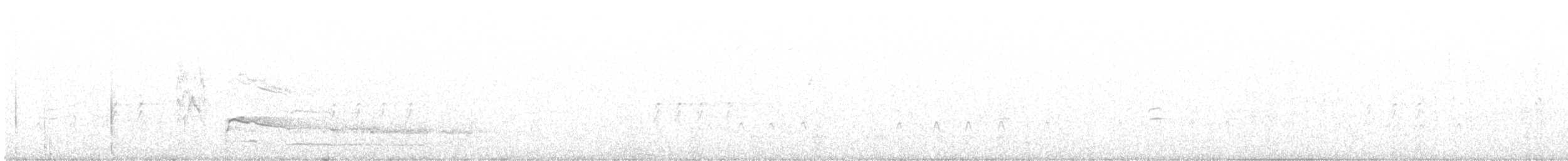 Краснохвостый канюк (harlani) - ML185834401