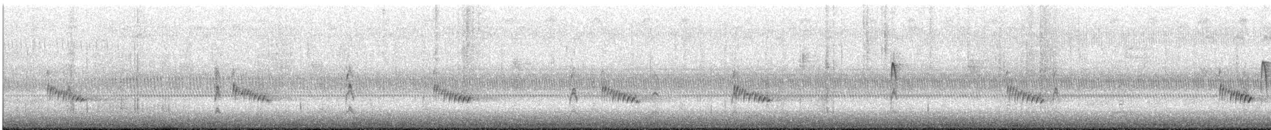 Karolina Çıtkuşu - ML185903251