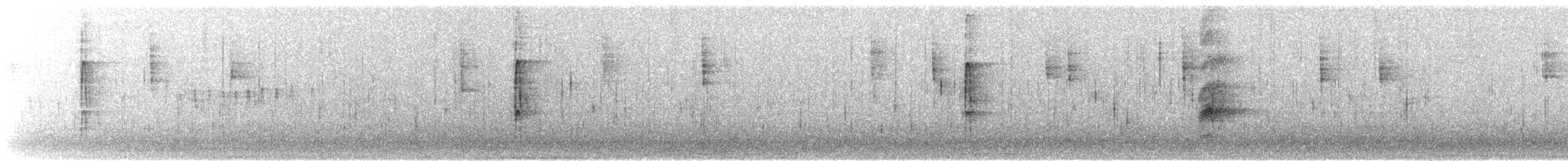 strakapoud proužkohřbetý - ML185953981