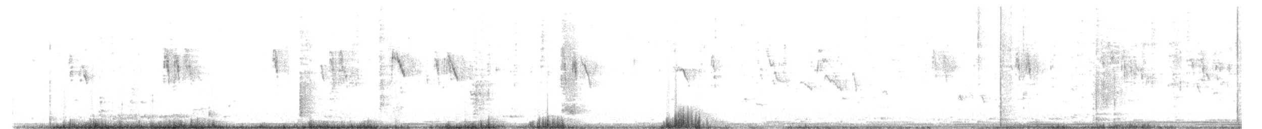 ub. erle (Motacilla sp.) - ML185961371