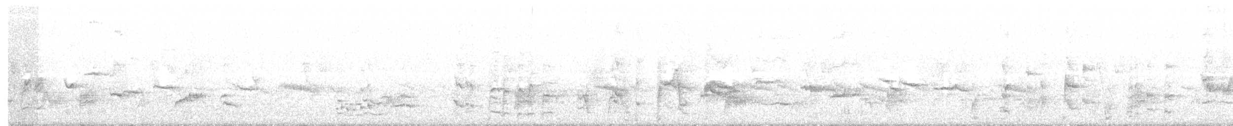 白斑紫嘯鶇 - ML186119781