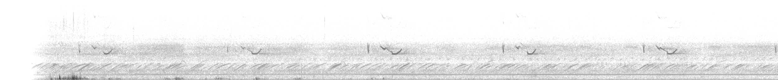 Spot-tailed Nightjar - ML186156691