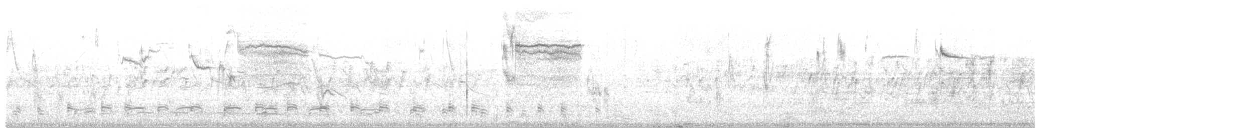White-browed Meadowlark - ML186158081