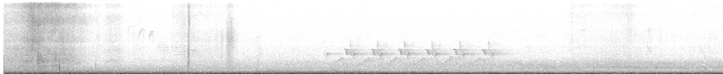 Поплітник каролінський - ML186176661