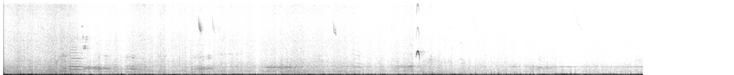 Great Egret - ML186256161