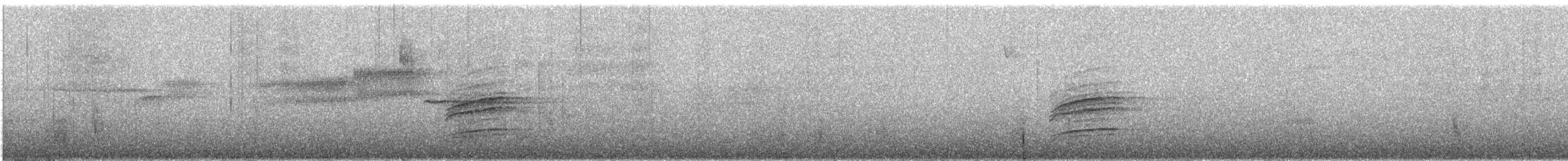Дрізд-короткодзьоб плямистоволий - ML186306811