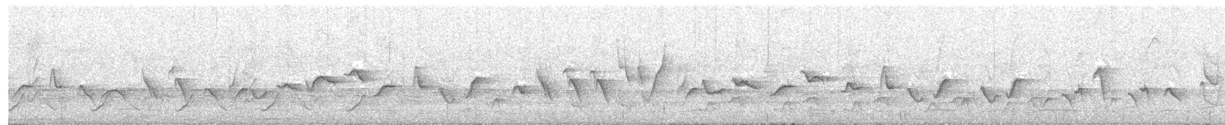 ミナミカワリヒメウソ - ML186390411