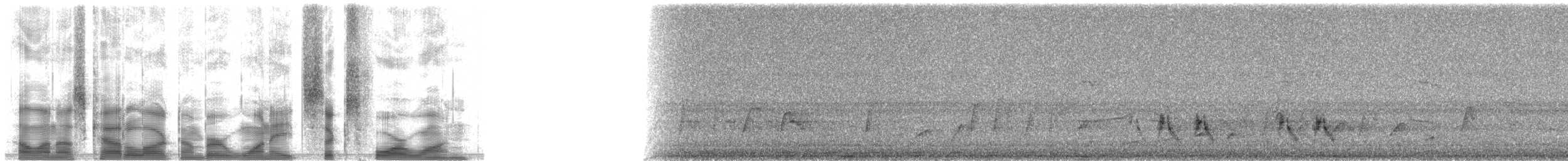 Bıyıklı Çizgili Sığırcık - ML18641