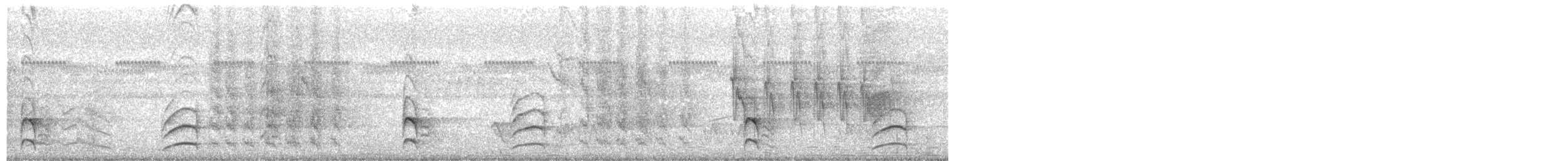 gråkronestifthale - ML186415461