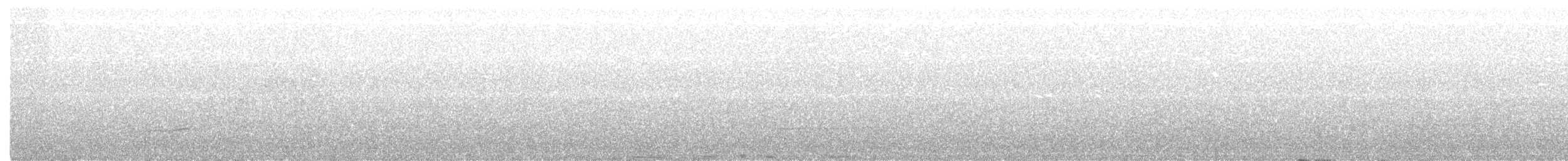 Тимельовець іржастий - ML186452571