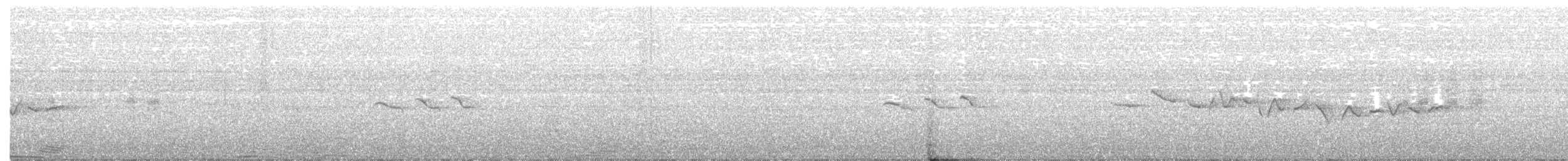 Тимелія-куцохвіст велика (підвид mutica) - ML186464791