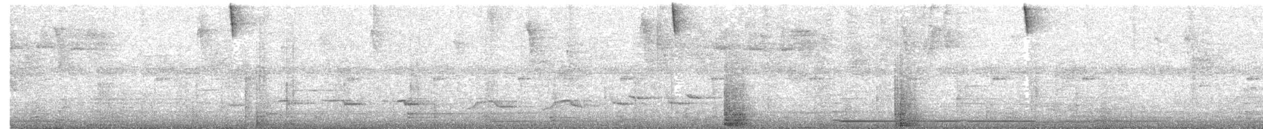 Schwarzkolibri - ML186471541