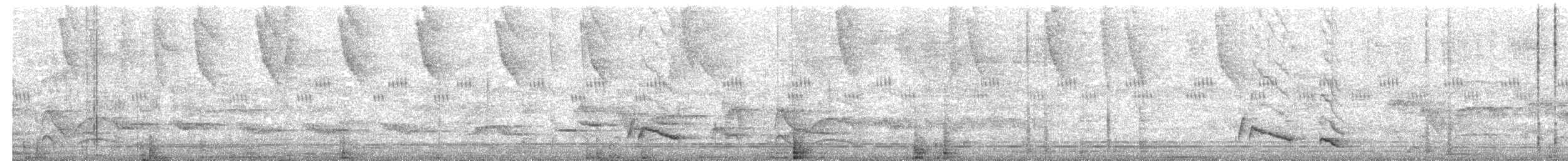 Langschnabel-Zaunkönig - ML186471991