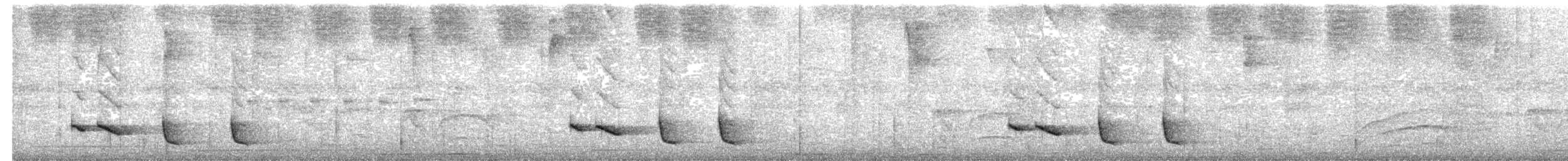 Langschnabel-Zaunkönig - ML186472051