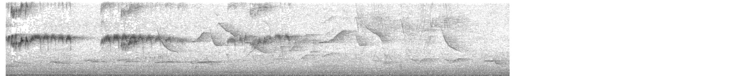 Trauerkönigstyrann - ML186472841