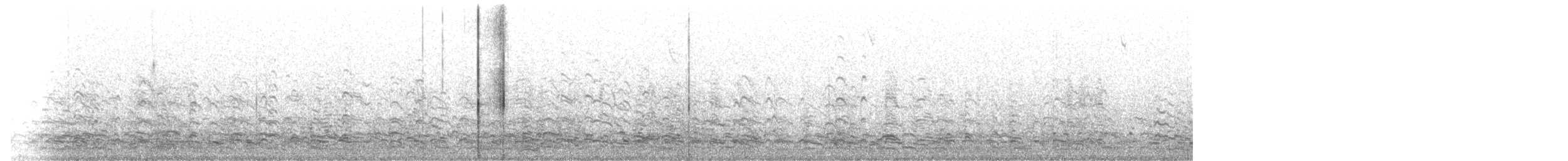 אווז לבן-מצח (מערבי) - ML186507011